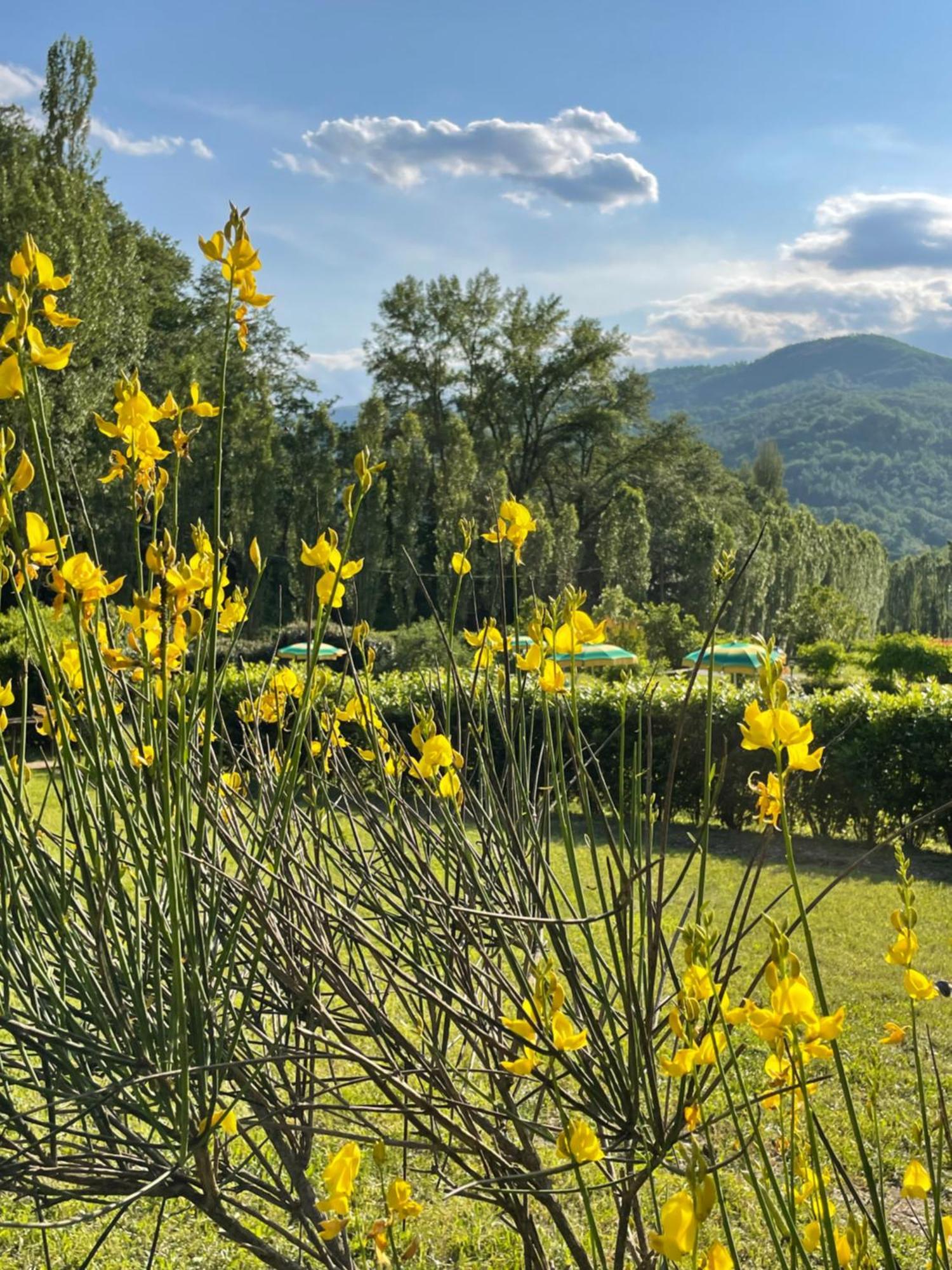 Cerqua Rosara Residence Valtopina Kültér fotó