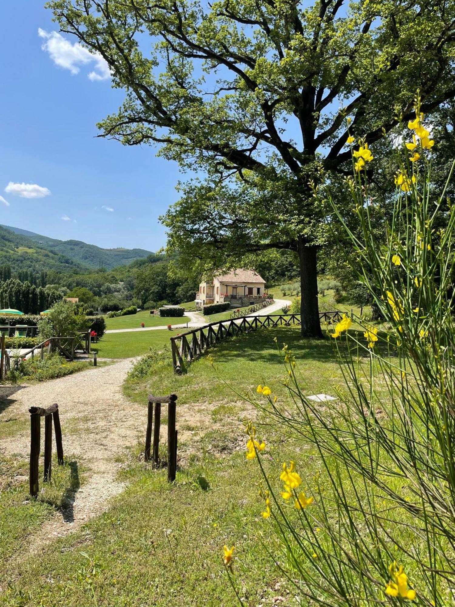 Cerqua Rosara Residence Valtopina Kültér fotó
